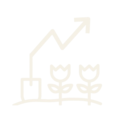 11-removebg-preview (1)