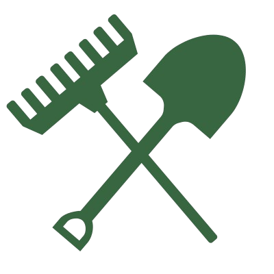 19-removebg-preview (1)