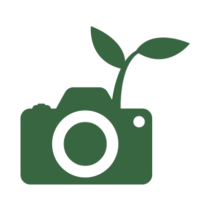 2-removebg-preview (1)