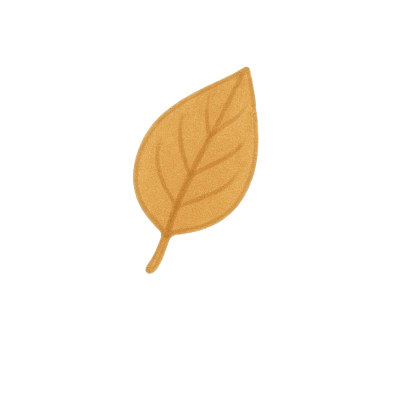 3.3-removebg-preview