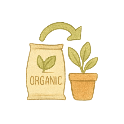 4.2-removebg-preview