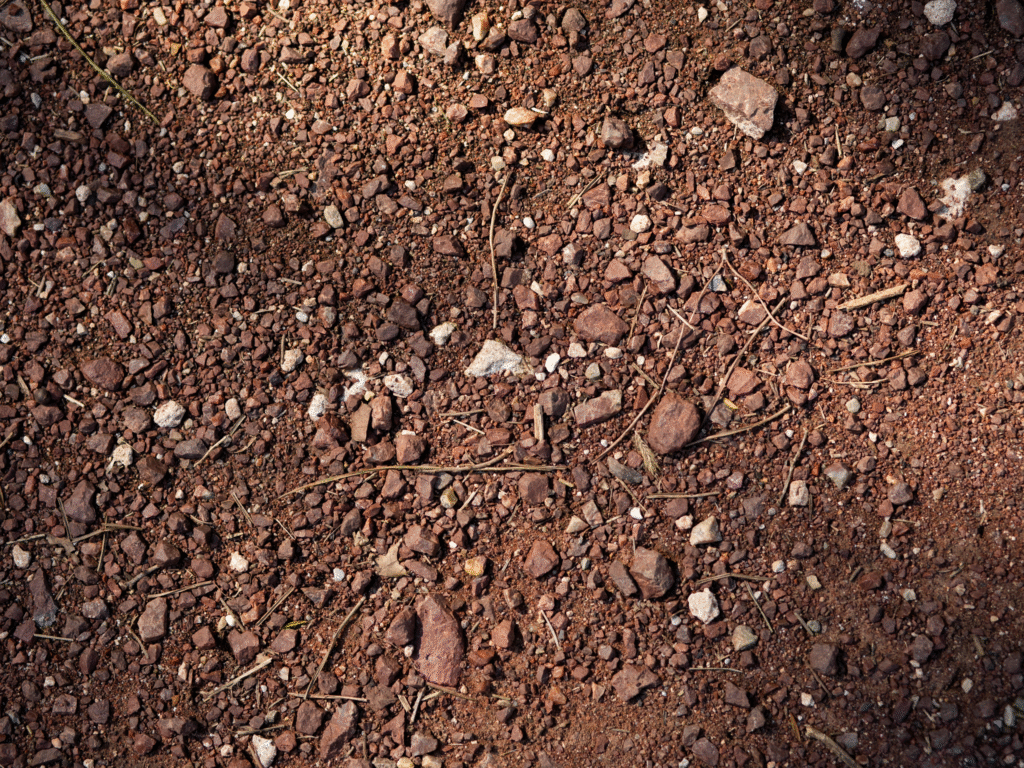 Diseño sin título(1)