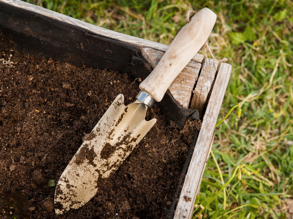 Diseño sin título(7)