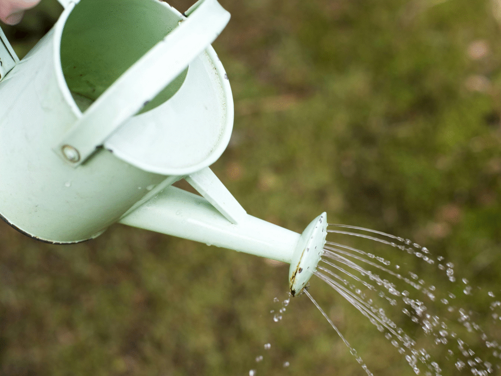 Diseño sin título(8)