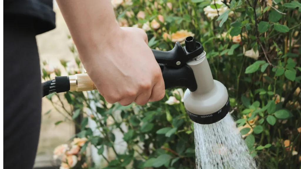 Diseño sin título (10)