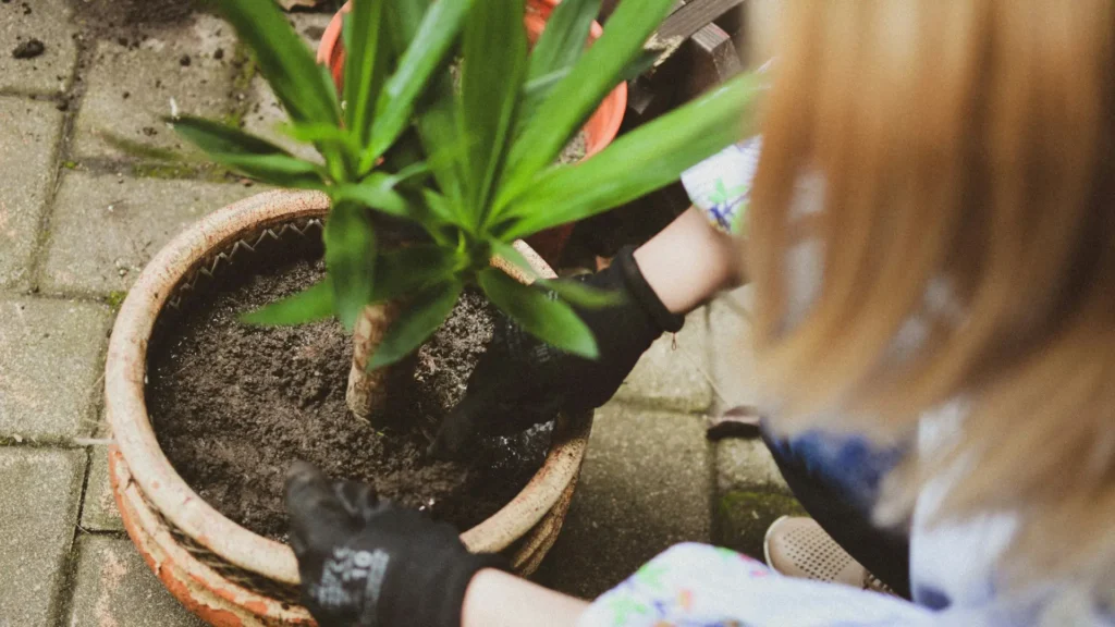 Diseño sin título (7)