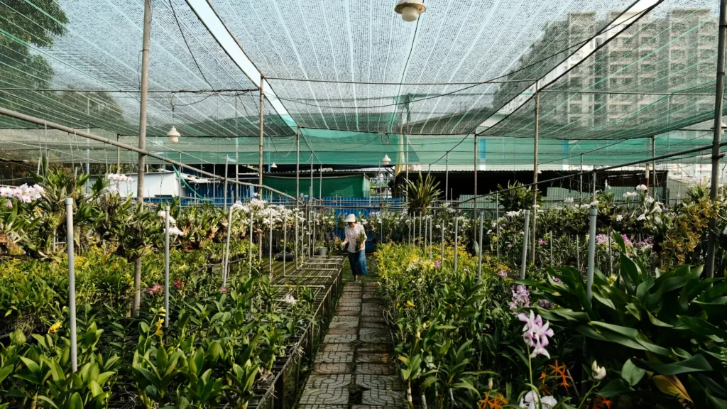 Diseño sin título (8)