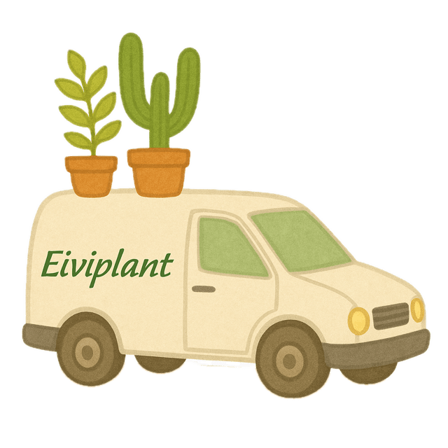 Fondo de “furgo en tamaño mediano” eliminado