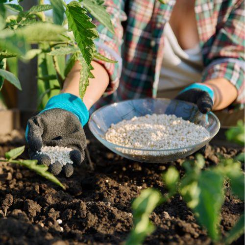 Fertilizante plantas de interior