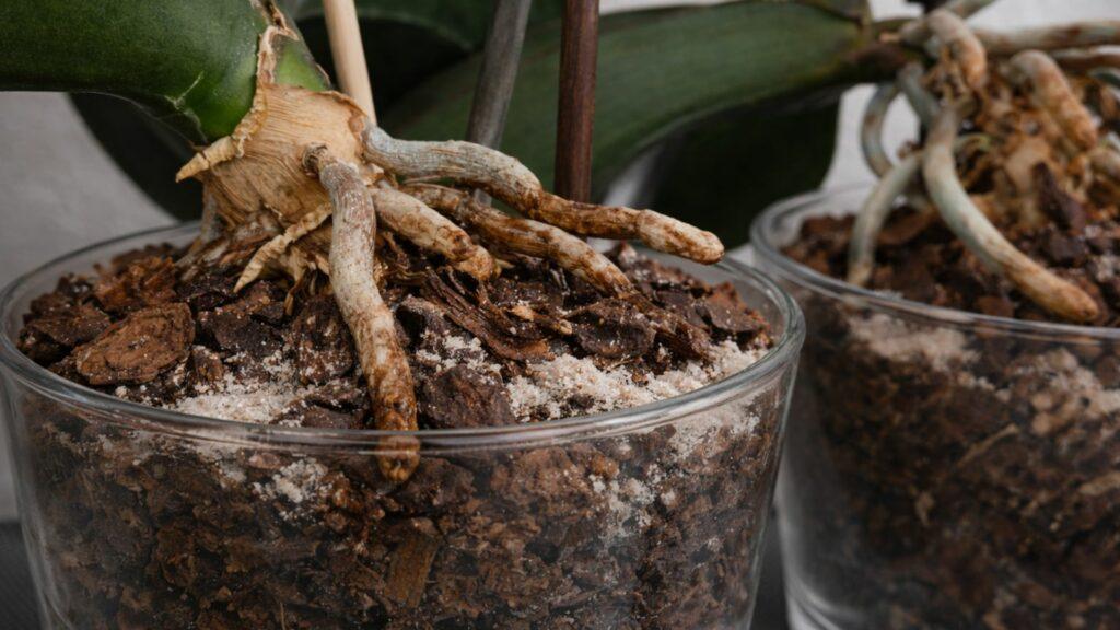 Diseño sin título (9)